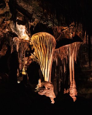 happy Lehman Caves day!
100 years ago today president Warren G. Harding declared the caves a national monument. it remains one of my favorite places in the state to visit 🥳🎂🎈
#HomeMeansNevada