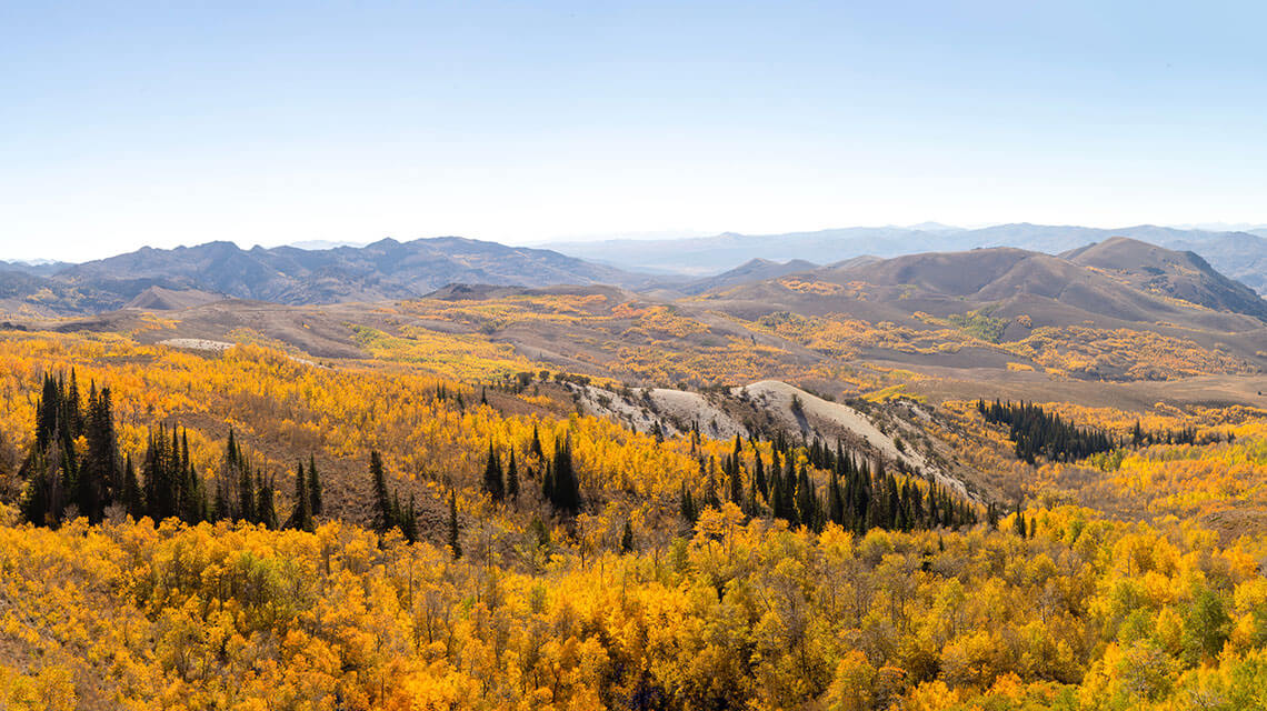 fall colors in copper basin jarbidge nevada