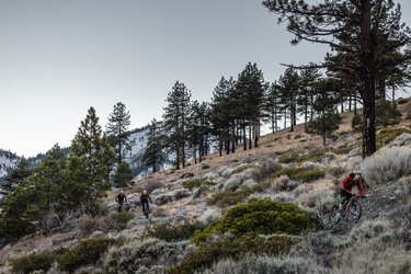 Ash Canyon is a recreational haven. Always check for snow this time of year, but soon enough mountain bikers and hikers will be hitting the trail. 

For more ideas for what to do this winter in Carson City check out visitcarsoncity.com. 🚵