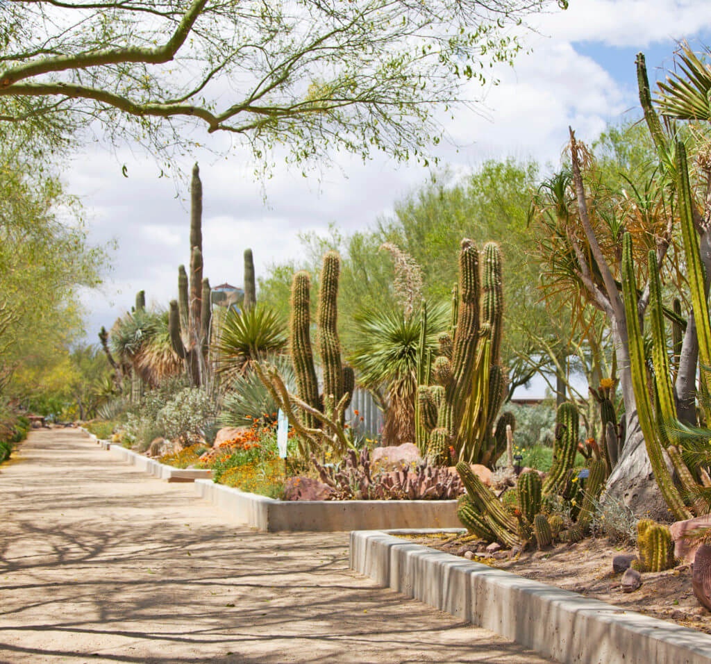 Las Vegas Springs Preserve, Springs Preserve, Botanical Gardens, Cactus Garden, Las Vegas Museum